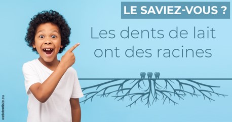 https://dr-mouffok-calle-hourida.chirurgiens-dentistes.fr/Les dents de lait 2