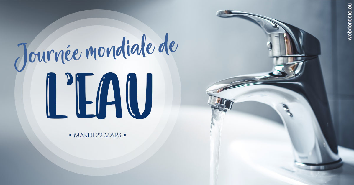 https://dr-mouffok-calle-hourida.chirurgiens-dentistes.fr/La journée de l'eau 2