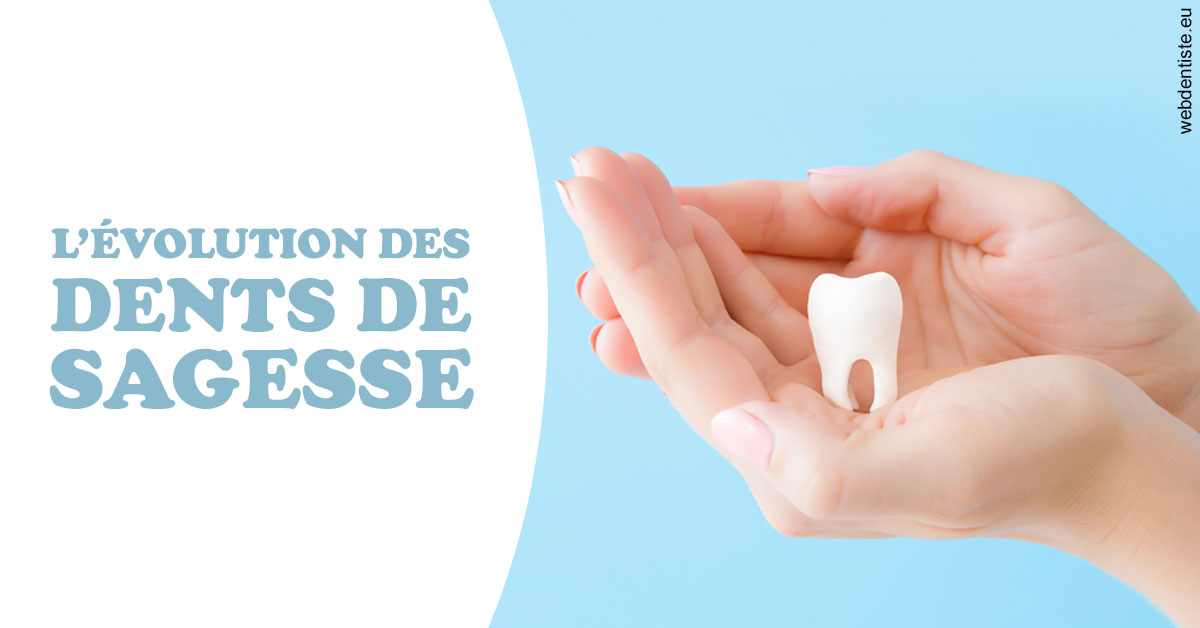 https://dr-mouffok-calle-hourida.chirurgiens-dentistes.fr/Evolution dents de sagesse 1