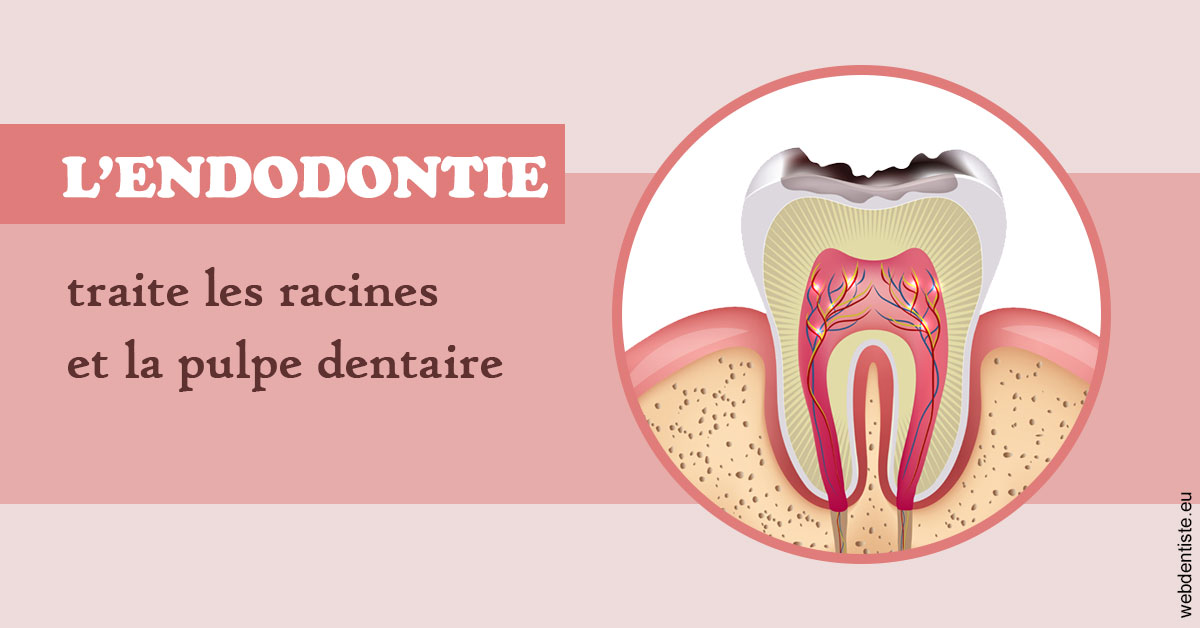 https://dr-mouffok-calle-hourida.chirurgiens-dentistes.fr/L'endodontie 2