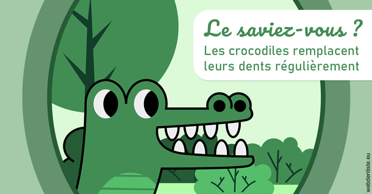 https://dr-mouffok-calle-hourida.chirurgiens-dentistes.fr/Crocodiles 2