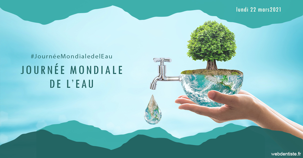 https://dr-mouffok-calle-hourida.chirurgiens-dentistes.fr/Journée de l'eau 1