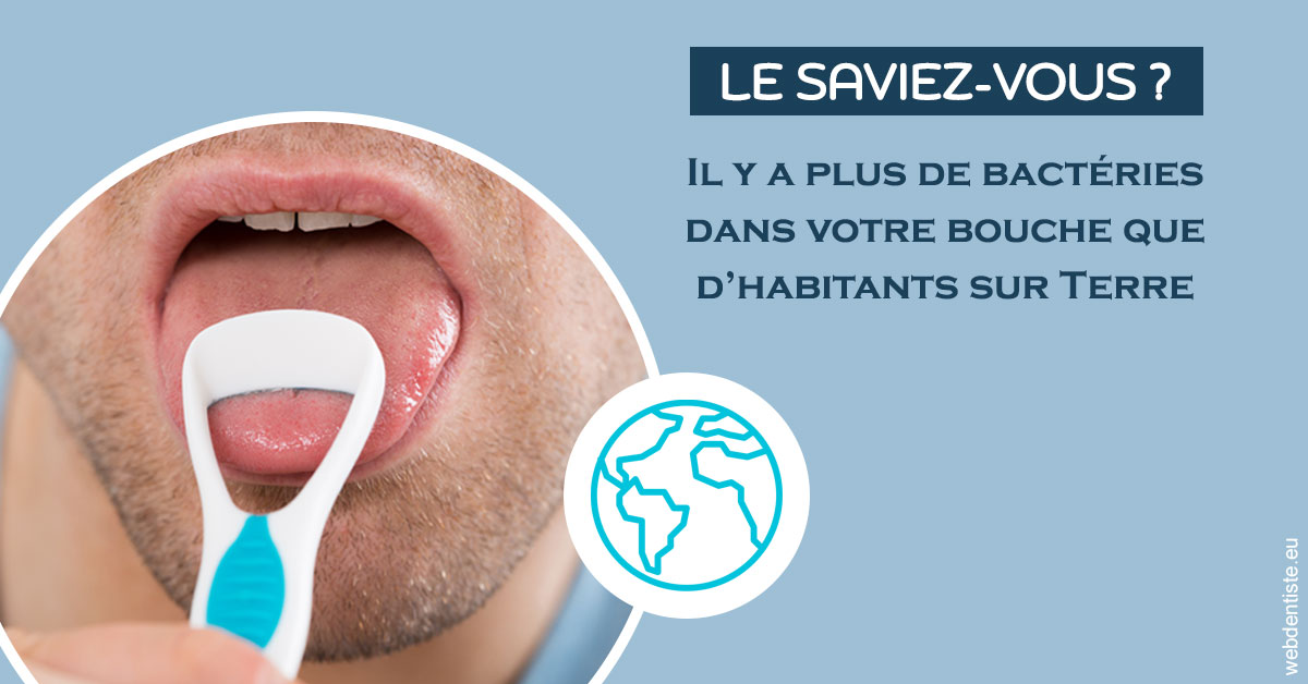 https://dr-mouffok-calle-hourida.chirurgiens-dentistes.fr/Bactéries dans votre bouche 2