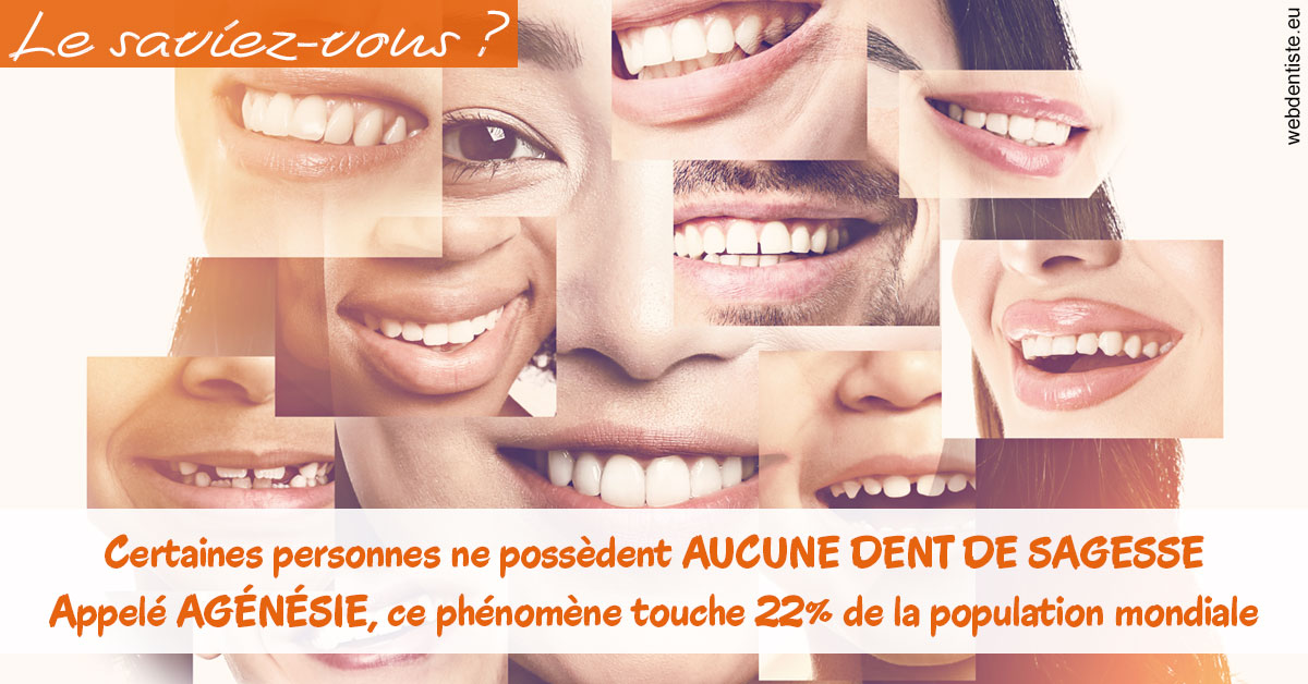 https://dr-mouffok-calle-hourida.chirurgiens-dentistes.fr/Agénésie 2